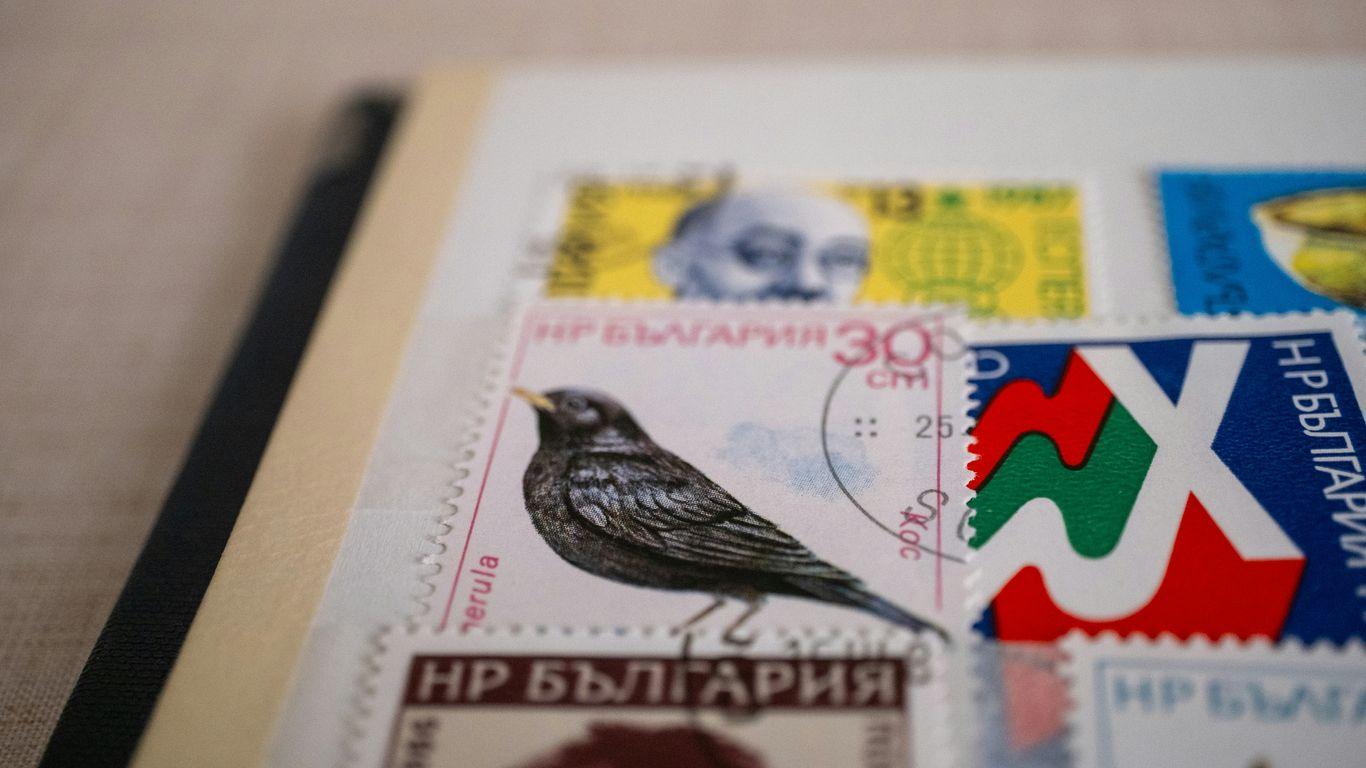 Variation of Condition Work Visa Processing Time