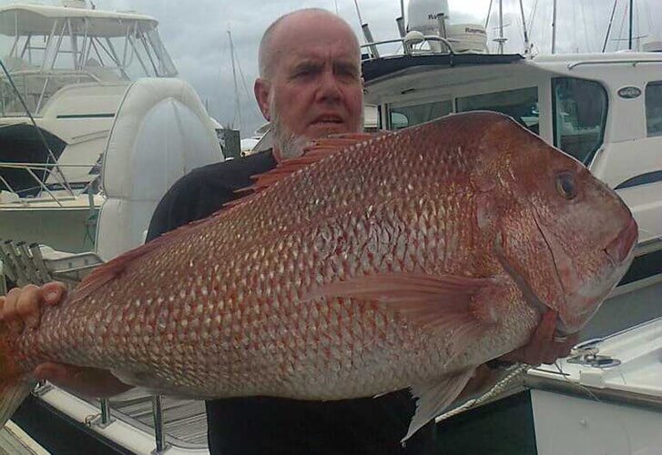 how to estimate snapper weight from length