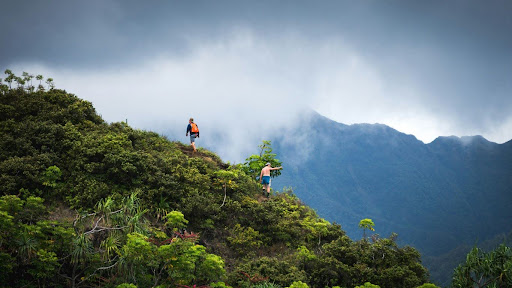 mount maunganui walk time for beginners