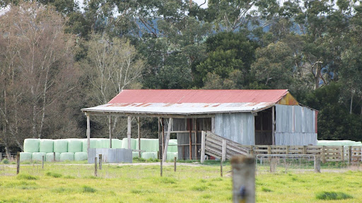 maximum number of sheds allowed per property NZ