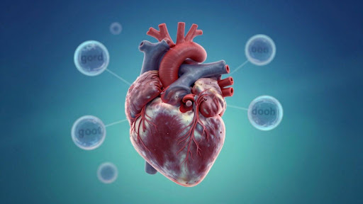 What Are Considered Normal Cholesterol Levels in NZ
